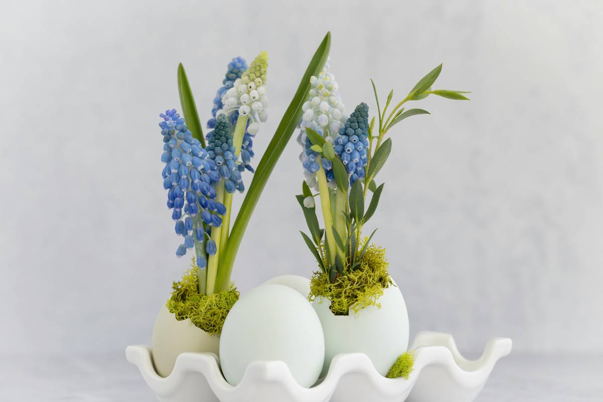 Decorating for Easter Ideas: 7 Proven Tips to Avoid Costly Mistakes