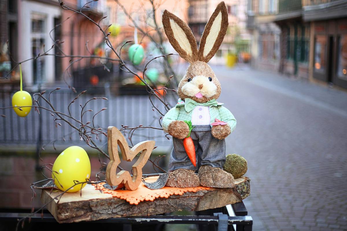 Party Supply Easter Decoration When Can: 7 Proven Tips to Avoid Costly Mistakes