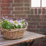 Easter Baskets for Kids: 7 Proven Ideas to Create Joy Without the Plastic Panic